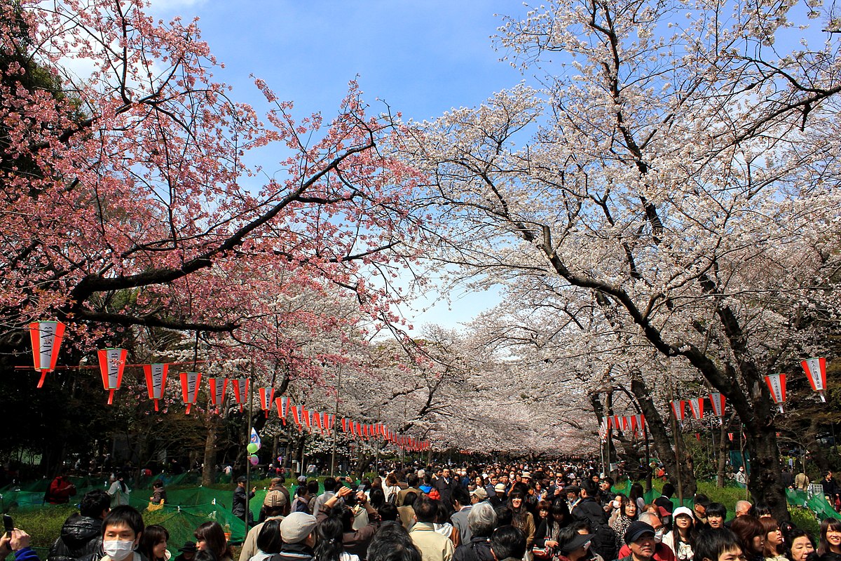 Japan Bucket List: 10 THINGS TO DO in Japan BEFORE YOU DIE