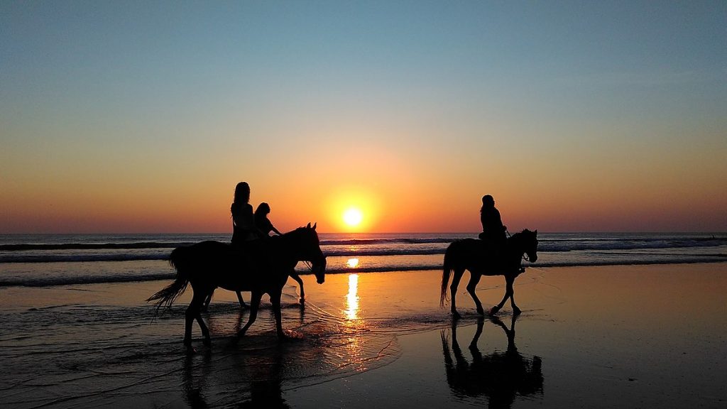 8. Take an evening horse ride – for the ultimate sunset.