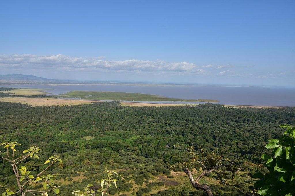 Experience the wilderness at and beyond Lake Manyara Tree Lodge in Tanzania – for nature lovers