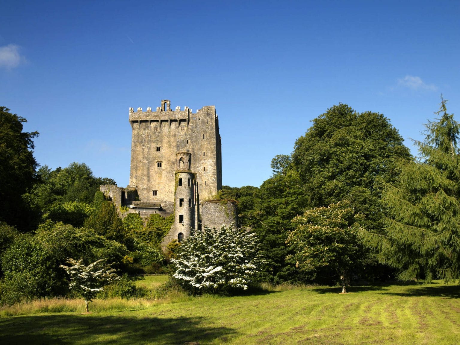 Top 10 BEST castles in Ireland you need to visit, RANKED