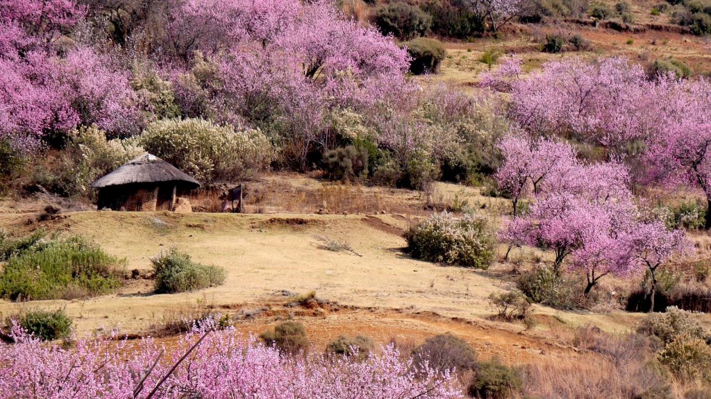 Lesotho is full of calming countryside.