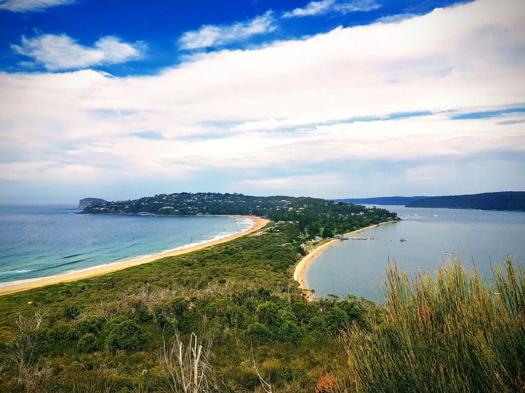 Palm Beach is one of the best beaches in New South Wales.