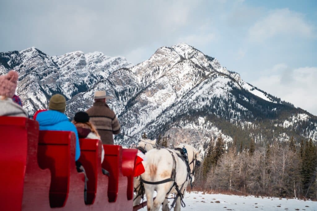 Take a sleigh ride.