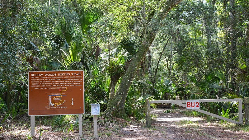 The Bulow Woods Hiking Trail is one of the best hidden gems in Florida. 