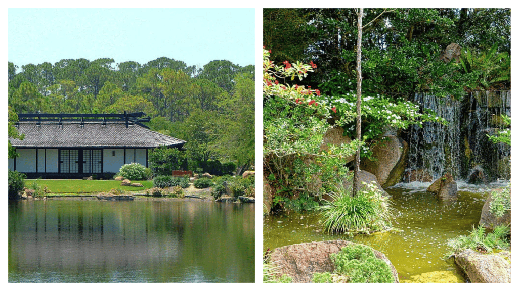 The Japanese Gardens show Florida's diversity. 