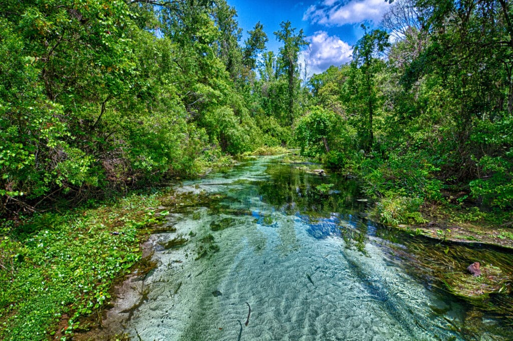 One of the best hidden gems in Florida. 