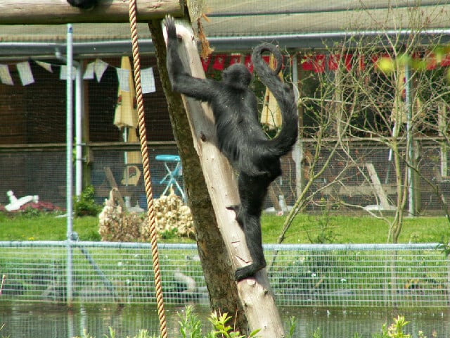 For a great family activity suitable for all ages, you must visit Curraghs Wildlife Park, one of the best things to do on the Isle of Man.