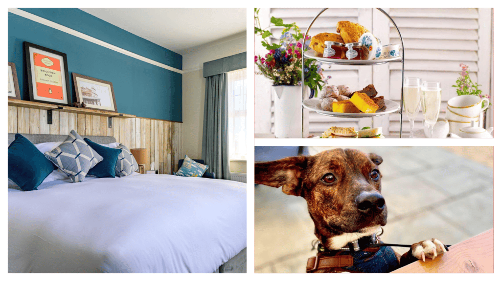 Downs Hotel is one of the best dog-friendly hotels in Brighton.