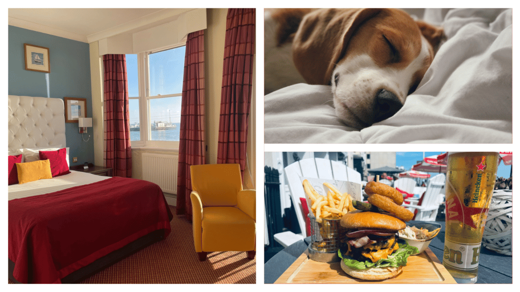 The Old Ship Hotel is one of the best dog-friendly hotels in Brighton.