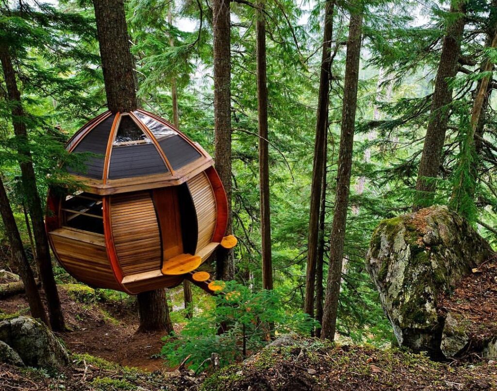 Whistler Treehouse is surrounded by nature.