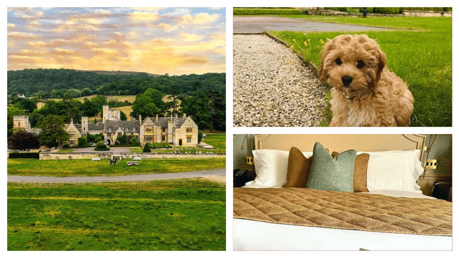 Top 10 DOGFRIENDLY hotels in the Cotswolds