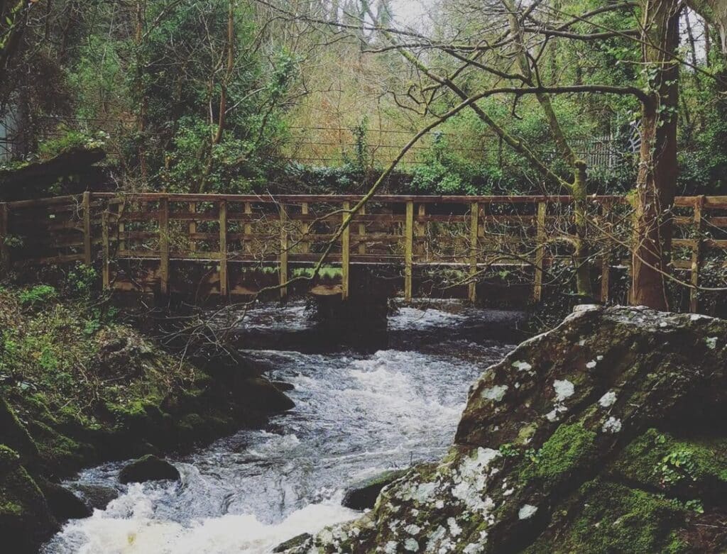 The Dingle Nature Reserve is one of the best things to do in Anglesey.