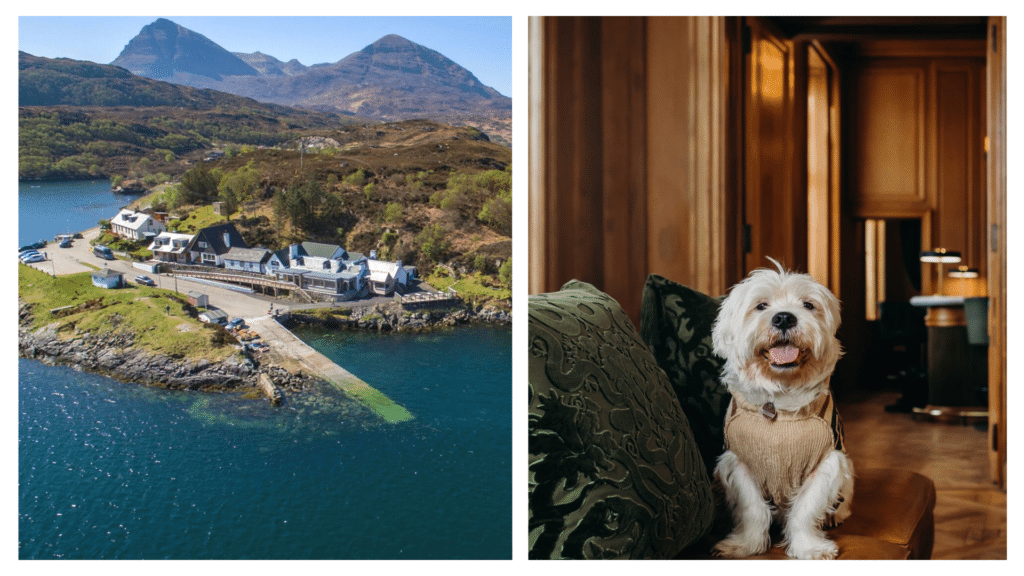 Top 10 DOG-FRIENDLY hotels in SCOTLAND, ranked.