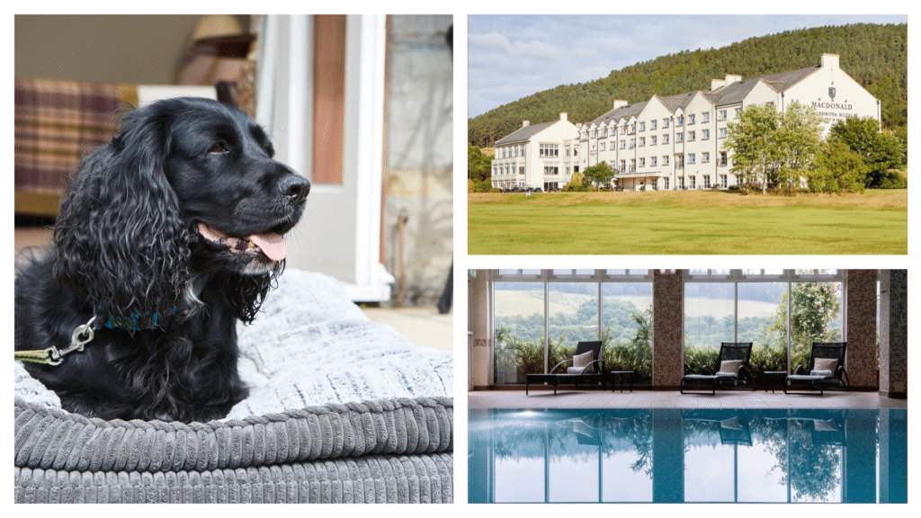 Macdonald Cardrona Hotel is one of the best dog-friendly hotels in Scotland.