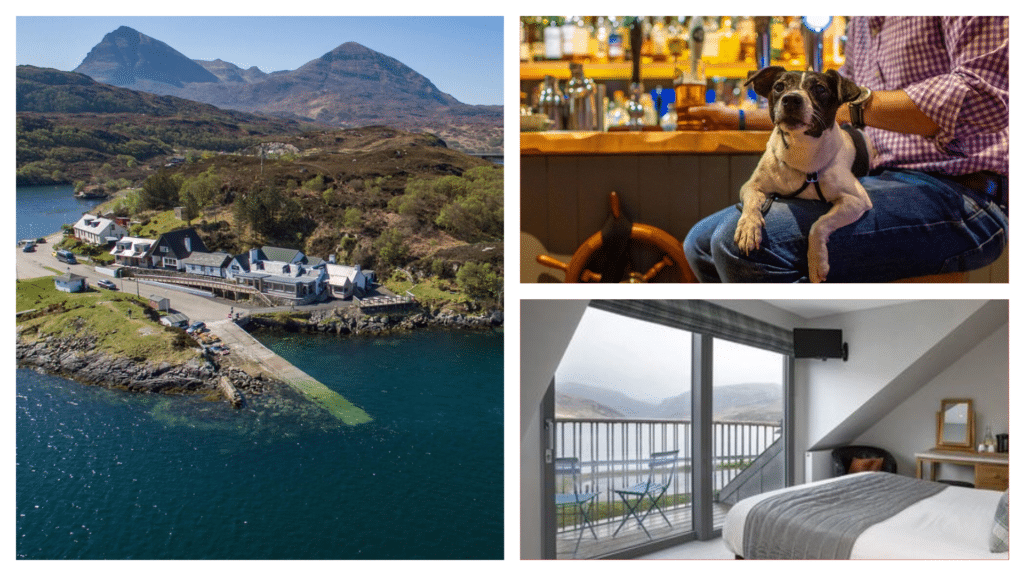 This is one of the best dog-friendly hotels in the area.