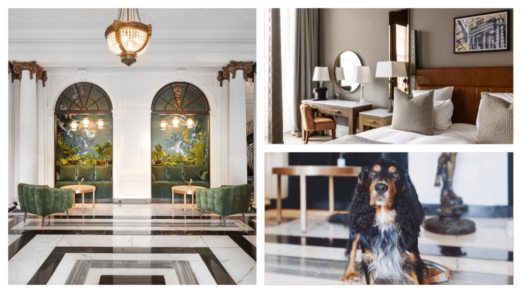 Kimpton Blythswood is one of the best dog-friendly hotels in Scotland.