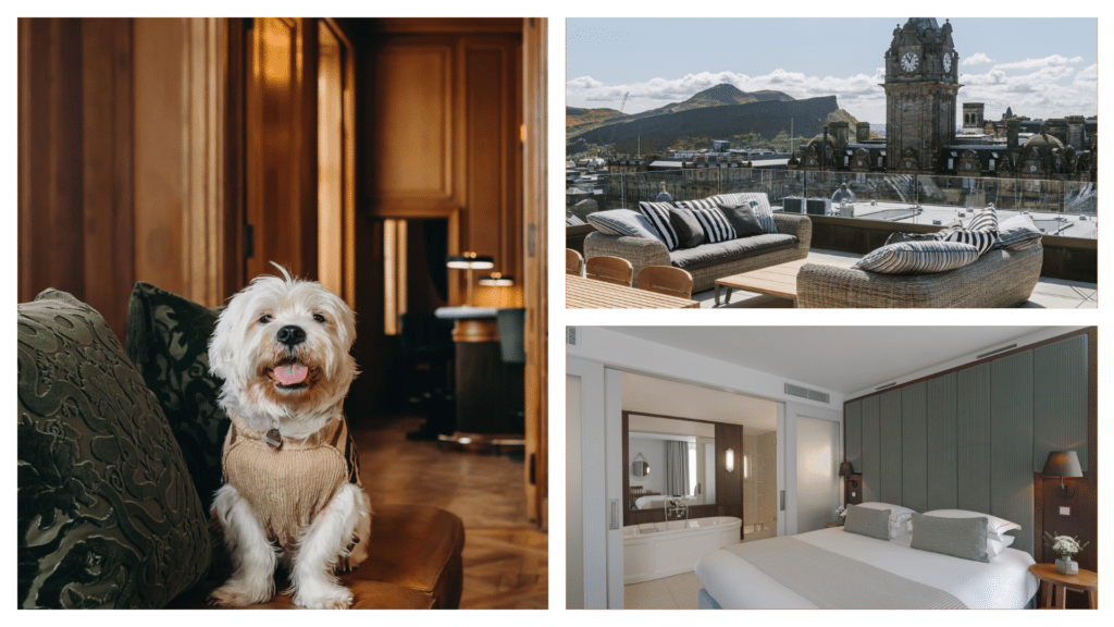 Cheval the Edinburgh is one of the best dog-friendly hotels in Scotland.