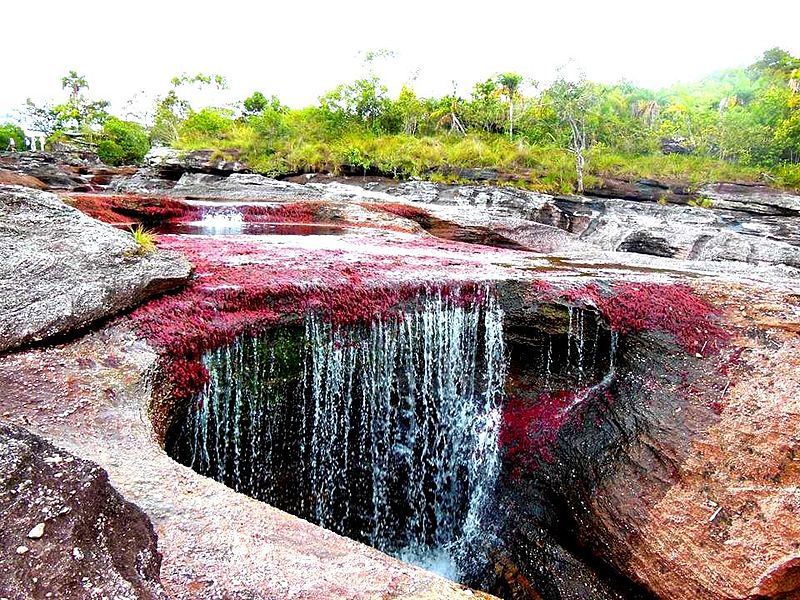 Beautiful view of Caño Cristales, Columbia.