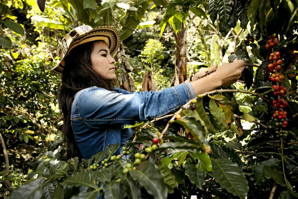 Picture of a Columbian lady growing coffee.