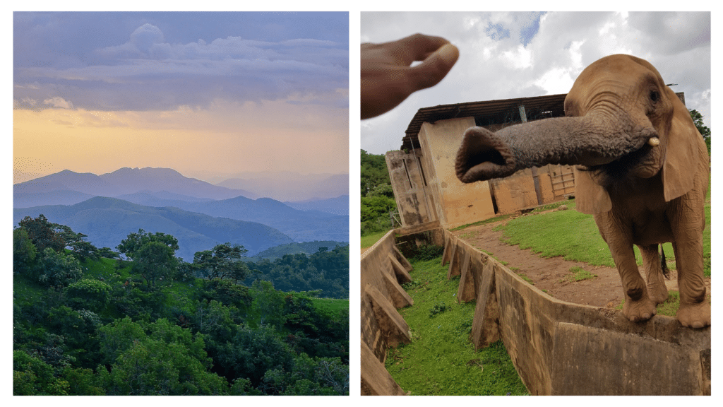 An INSIDER’S guide to Nigeria’s BEST national parks.