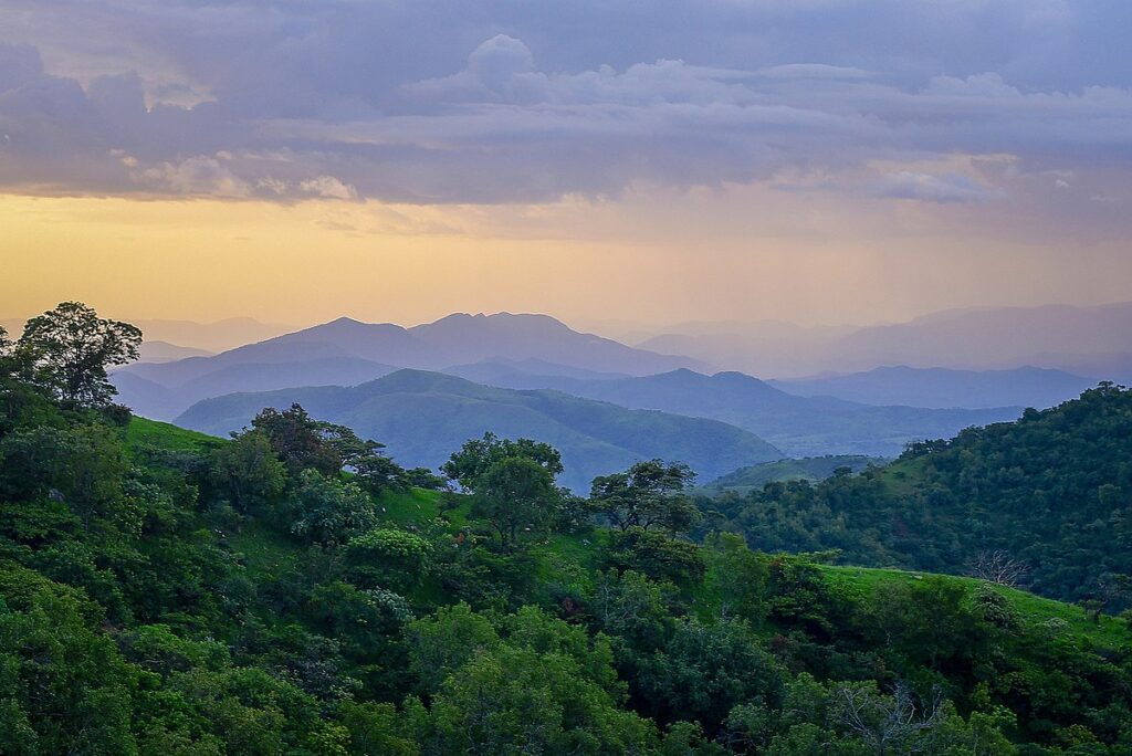 A shot of the landscape, including vegetation, trees, mountains, and sky, at Gashaka Gumti National Park.