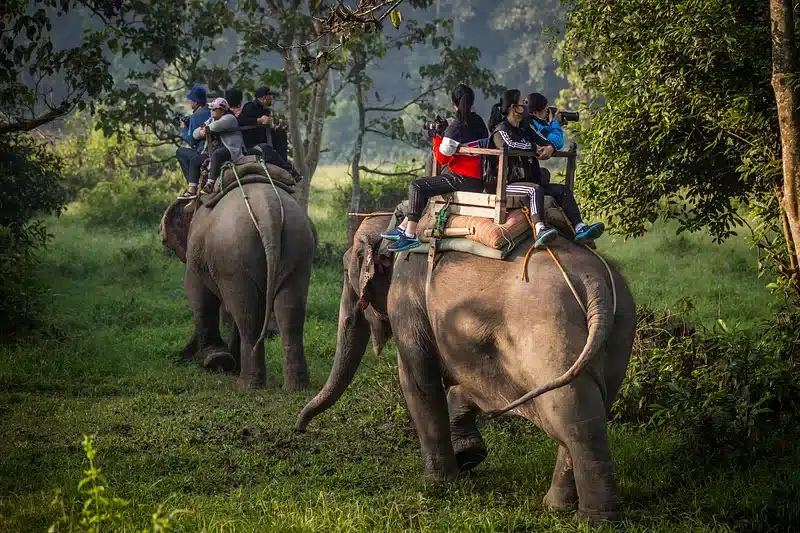 Picture of tourists sitting on two elephants.