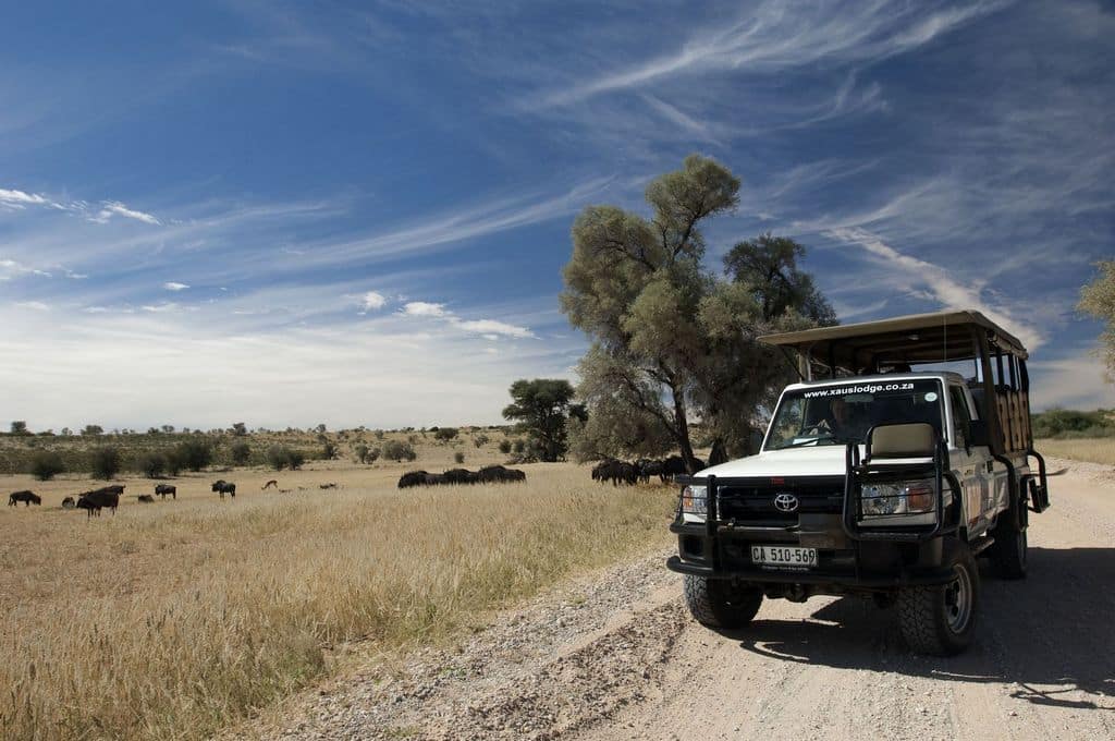 Picture of safari tourists in a van.